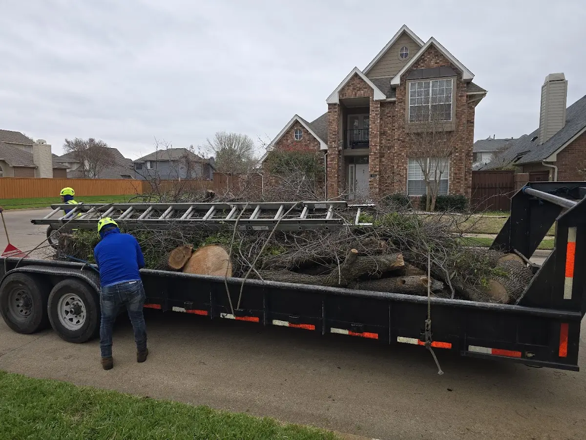 Expert Tree Pest Control with proper safety equipment in Dallas City